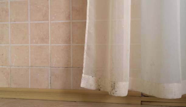 Dehumidification Services in Absecon, NJ