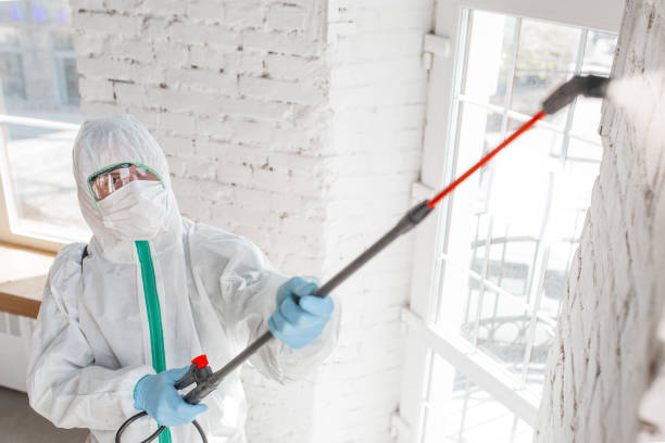 Best Mold Documentation for Insurance Claims  in Absecon, NJ