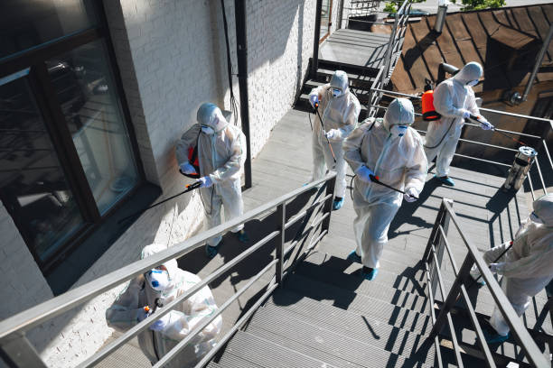 Forensic Mold Investigation in Absecon, NJ
