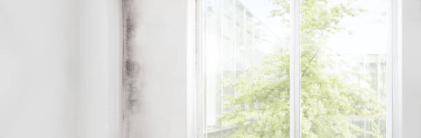 Best Asbestos and Lead Testing During Mold Inspection  in Absecon, NJ