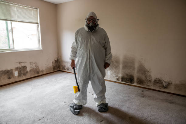Mold Remediation for Rental Properties in Absecon, NJ